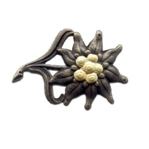 Edelweiss Badge (click for enlarged image)